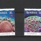 ROMANIA 2024 - CORALI, MNH - LP 2487