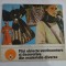 Mici obiecte vestimentare si decorative din materiale diverse - Liana-Elena NEAGU