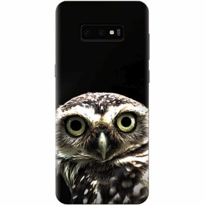 Husa silicon pentru Samsung Galaxy S10 Lite, Owl In The Dark foto