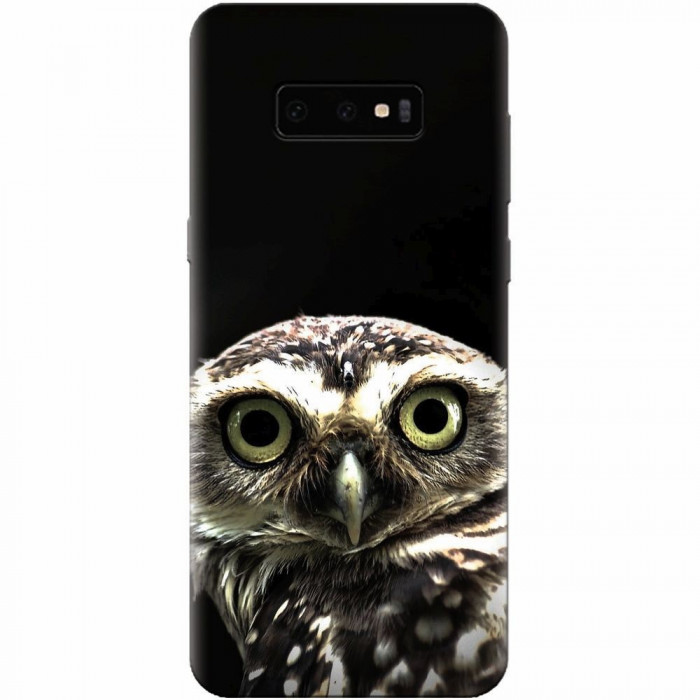 Husa silicon pentru Samsung Galaxy S10 Lite, Owl In The Dark