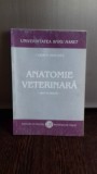 ANATOMIE VETERINARA - CARMEN BERGHES