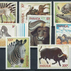 RWANDA 1984 FAUNA ANIMALE SALBATICE