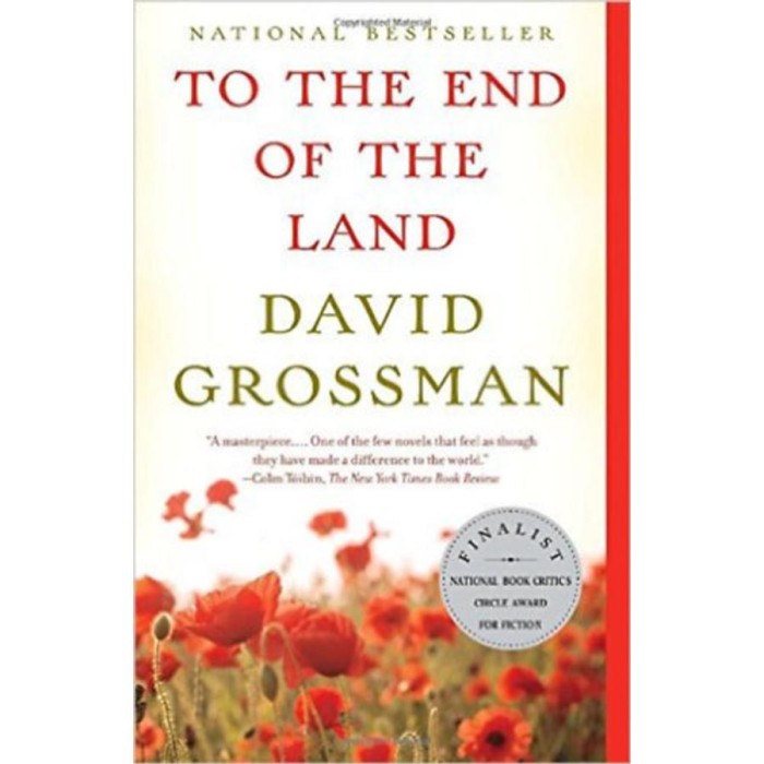 To the End of the Land - David Grossman
