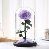 Cumpara ieftin Trandafir Criogenat bella lila &Oslash;8cm in cupola sticla 12x25cm