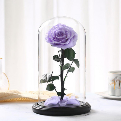 Trandafir Criogenat bella lila &amp;Oslash;8cm in cupola sticla 12x25cm foto