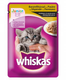Hrana umeda pentru pisici Whiskas Junior Pasare 24x100g