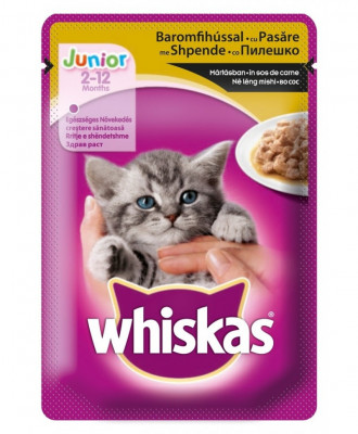 Hrana umeda pentru pisici Whiskas Junior Pasare 24x100g foto