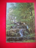 HOPCT 22603 CASCADA BUKK FATYOL SZALAJKA -UNGARIA -NECIRCULATA