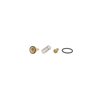 Termostat lichid racire VW EOS 1F7 1F8 BEHR TX18195D foto