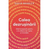 Calea dezrusinarii. Ghid terapeutic pentru a te elibera de rusine si vinovatie - David Bedrick