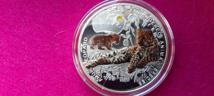 ZAMBIA 1000 KWACHA , UNC , REPLICA, TIGRU