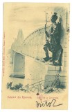 3913 - CERNAVODA, Dobrogea, Bridge Saligny, Litho - old postcard - used - 1900, Circulata, Printata