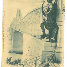 3913 - CERNAVODA, Dobrogea, Bridge Saligny, Litho - old postcard - used - 1900
