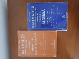 Pachet 2 Manuale Matematică Clasa 12-Mircea Ganga