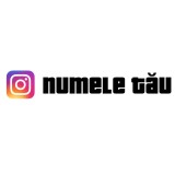 Sticker Auto Instagram Personalizat cu Numele Tau Model 7 , Promoveaza-ti Contul in Stil Unic