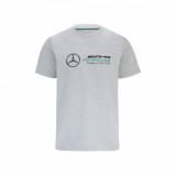 Mercedes AMG Petronas tricou de bărbați logo grey F1 Team 2022 - XL