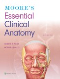 Moore&#039;s Essential Clinical Anatomy