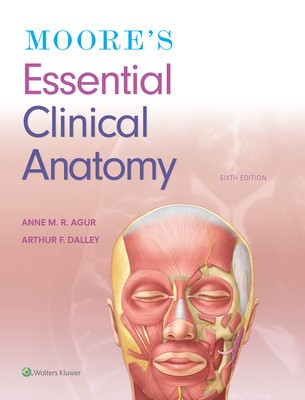 Moore&amp;#039;s Essential Clinical Anatomy foto