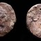 Antoninianus Claudius II Gothicus &ndash; Glorie militară a Romei t&acirc;rzii. Monedă de colecție. 170 lei