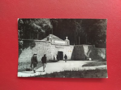 CARTE POSTALA - RPR - BORSEC - IZVORUL PRINCIPAL DE APE MINERALE foto