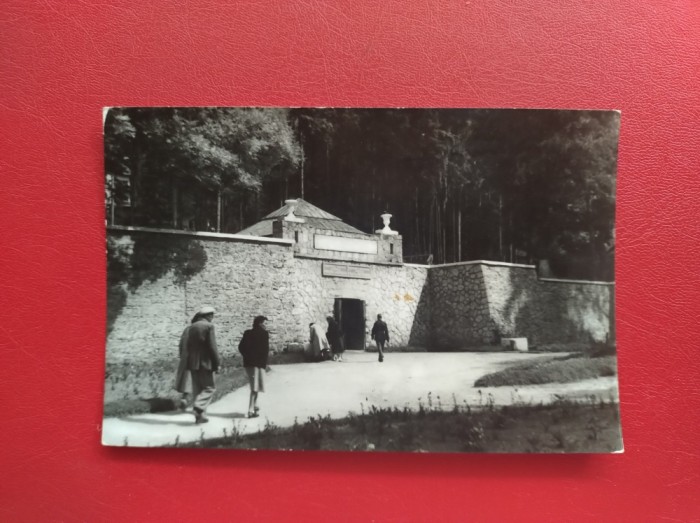 CARTE POSTALA - RPR - BORSEC - IZVORUL PRINCIPAL DE APE MINERALE