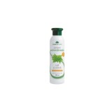 Sampon Fortifiant cu Extract Nuc si Rozmarin 250ml, Cosmetic Plant