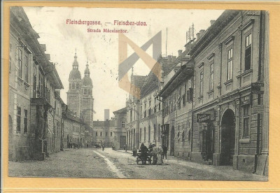 CARTE POSTALA &amp;quot;SIBIU-STRADA MACELARILOR&amp;quot;, 1910, Alb/Negru, Circulata! foto