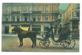 4991 - BUCURESTI, Muscal, Romania - old postcard - used - 1914, Circulata, Printata
