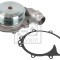FEBI BILSTEIN 172333 Pompă de apă, răcire motor