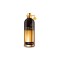 Montale Spicy Aoud EDP 100 ml