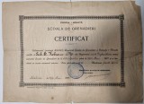 Corpul I Armata Scoala de Grenadieri Certificat WWI 1917