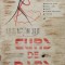 Curs De Dans - Ioan Corneliu Vasiliu , J153