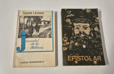 Gabriel Liiceanu Set carti doua volume foto
