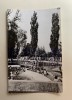 Carte poștală Oradea-Baile Felix, Circulata, Fotografie
