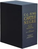 Cumpara ieftin Cartile negre/C.G. Jung