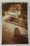 BALCIC , PARCUL PALATULUI REGAL , FOTO. N.I. NORLAND , FORMAT CARTE POSTALA , 1935