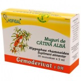 Gemoderivat Muguri Catina Alba Hofigal 30mdz