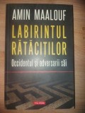 Labirintul ratacitilor: Occidentul si adversarii sai- Amin Maalouf