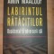 Labirintul ratacitilor: Occidentul si adversarii sai- Amin Maalouf