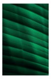 Tablou Canvas, "Frumusețea frunzelor sub razele soarelui", Groove, Verde, Textură, Natură, Lumină, Umbră, Frunză, Linie, Suprafață, Organic, 26 x 39 c