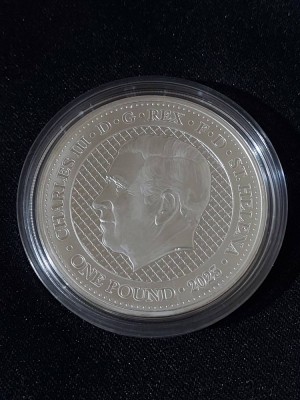 Sf. Elena 2023 &amp;ndash; o liră - macac Rhesus, maimuță - 1 OZ - Monedă de argint foto