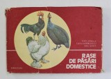 Rase de păsări domestice&rdquo; de Ioan Vancea, Elena Bărbulescu și Dan Mara
