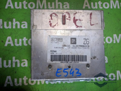 Calculator ecu Opel Astra F (1991-1998) 16172059 foto