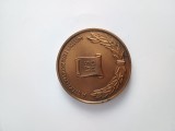 LICEUL DIN CRISTURU SECUIESC - 175 de ani de la infiintare .1793-1968 . Medalie bronz frumoasa , rara
