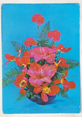 bnk cp Felicitare - Flori - circulata - marca fixa - cod 0199/79 foto