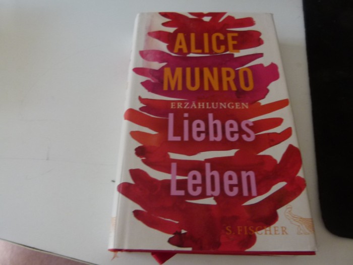 Liebes Leben - Alice Munro