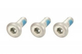 Set șuruburi pentru discuri de fr&acirc;nă M8x1,25mm, lungime: 23,2mm, cantitate: 3pcs, material: oțel, Trw