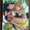 Revista Playboy , decembrie / 2001 / C1P