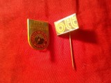 2 Insigne Romania - RSR - BTT L=1,7cm si BTT Agentia Bucuresti - Cercul Turism Bucur h=2,1cm