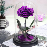 Cumpara ieftin Trandafir Criogenat purpuriu bonita &Oslash;9,5cm in cupola 17x28cm